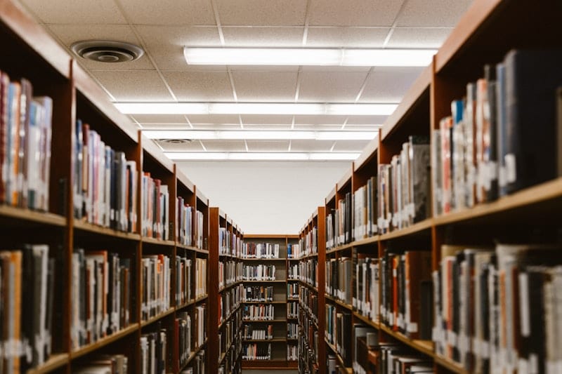 cost of studying in usa